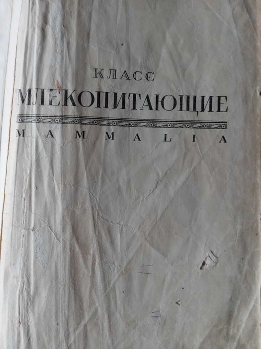 Книги 1930х гг Брем Жизнь животных том5,,анг-нем-армрус старин.словари