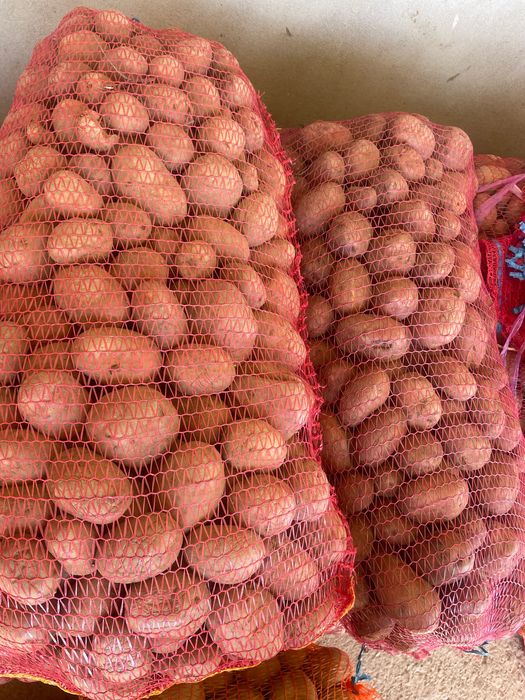 Cartofi pentru animale