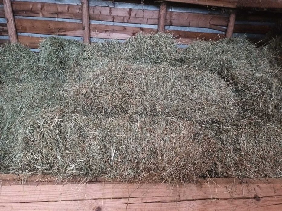 Baloti din otava si fan