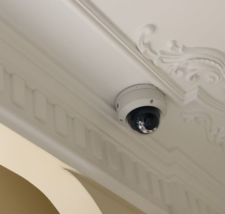 Ustanovka domofon kamera