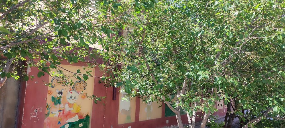 Ellikqaʼla bosgan shaxri ipoteka joy sotiladi baxor koʻchasi 67