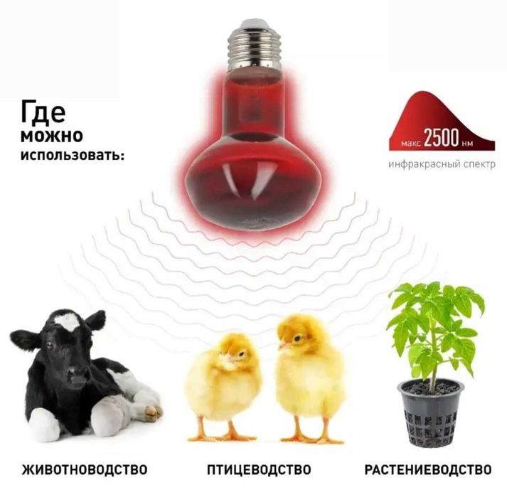 Красная лампочка инфракрасная