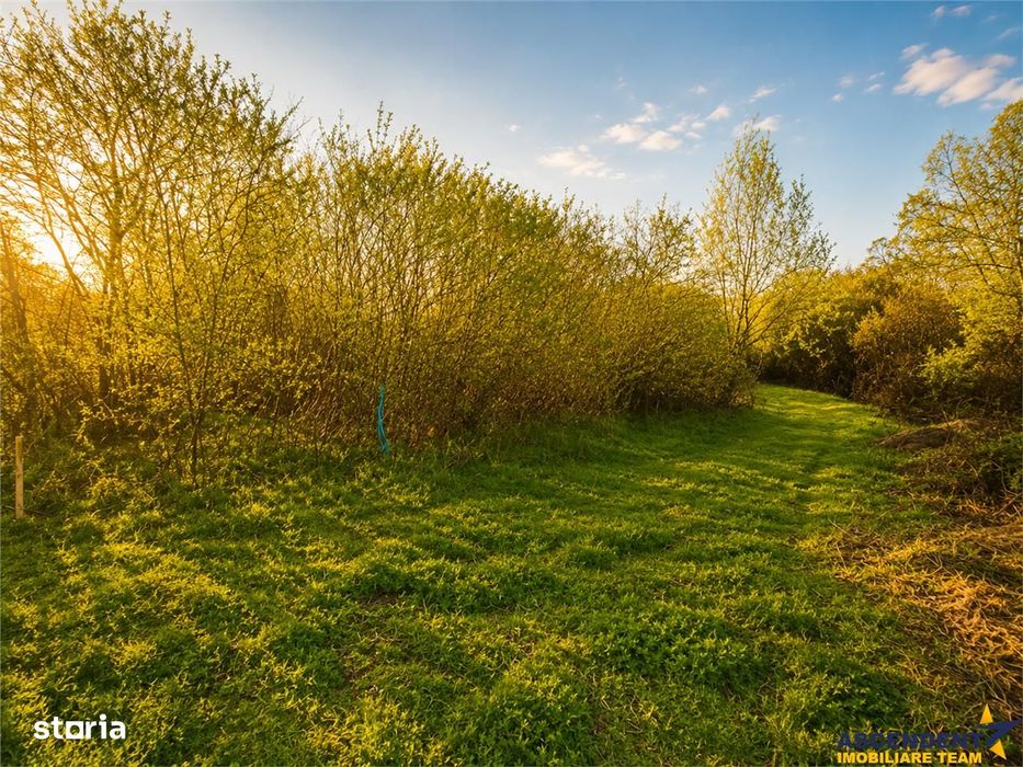 Teren 1.700 mp intravilan, natura, vecinatati bune, potential dublu, L