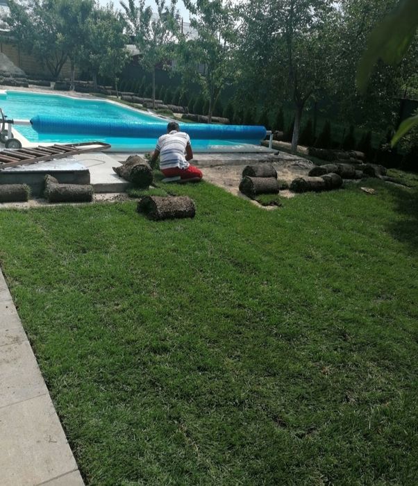 Rulouri de gazon sport 24 de lei m2.Transport și montaj inclus în preț