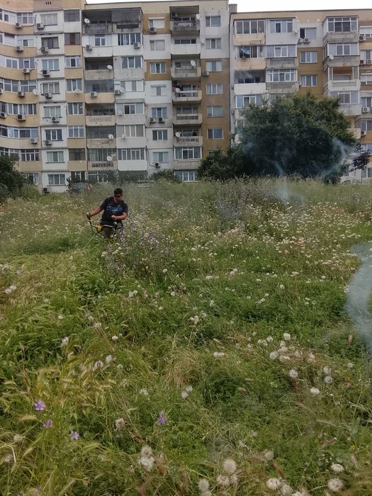 Косене на тревни площи, рязане на дървета и почистване на дворове – Варна