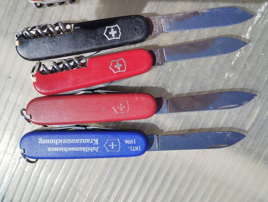 Bricege Prelata 4/6 Mașina tuns oi