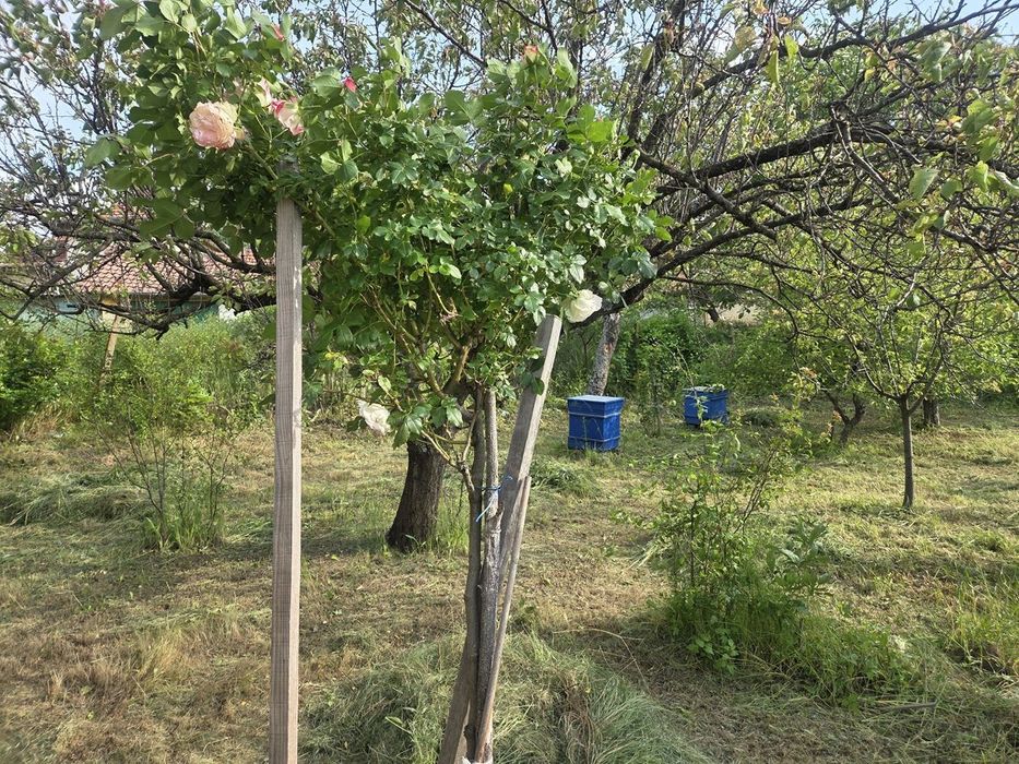 Къща в Враца-Студентски град площ 110 цена 35000