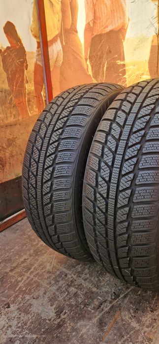 2 Anvelope ca noi Evergreen 205 60 R16 M+S