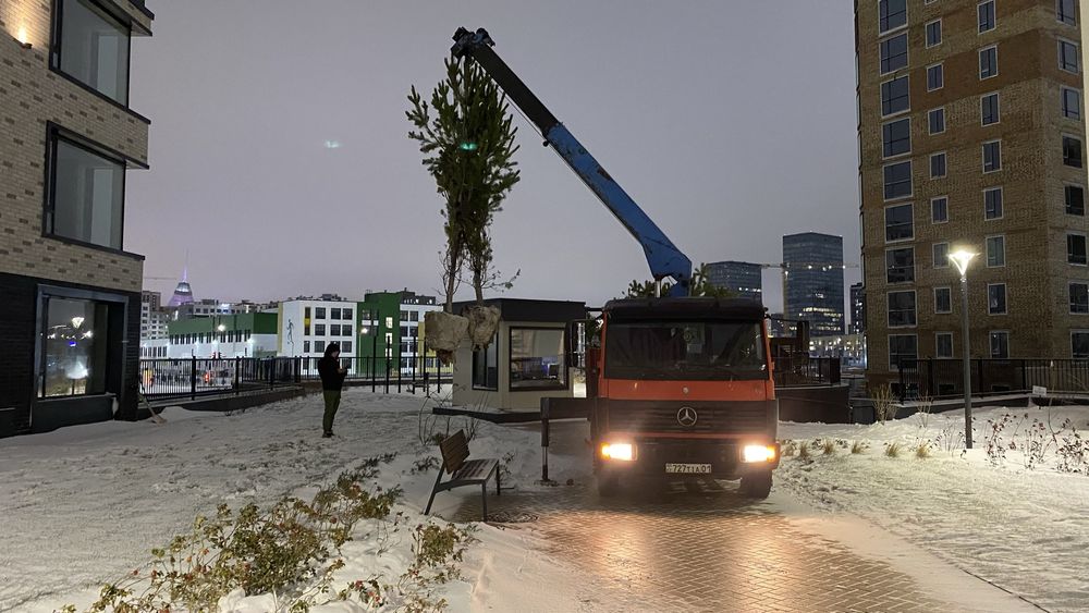 Услуги манипулятора