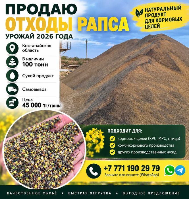 Отходы рапса, РАПС
