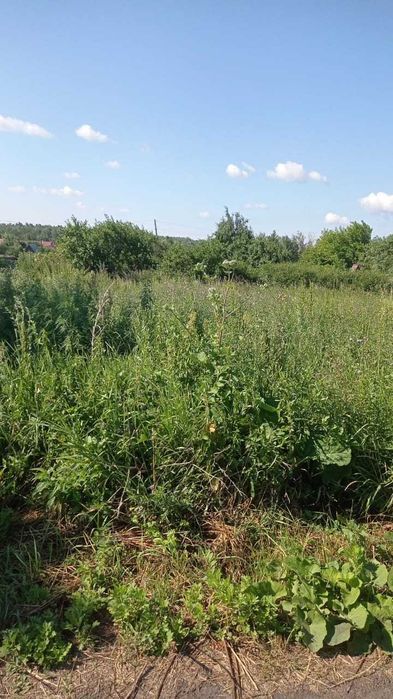 Продам дачный участок в Боровом 6 соток