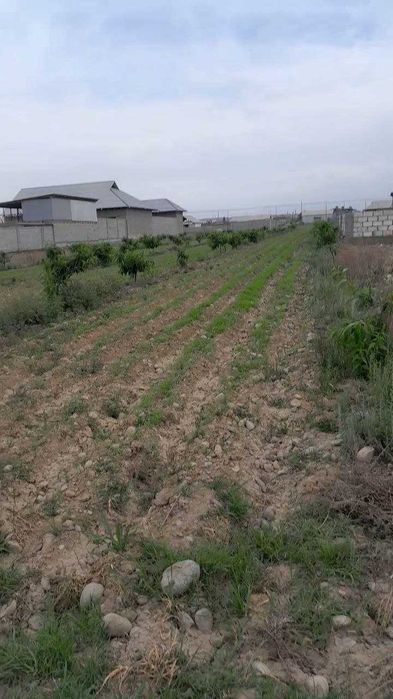 Srochna 14soth yer sotiladi!