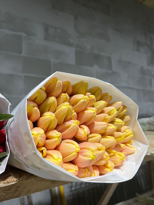 Тюльпаны оптом 750 и в розницу 850