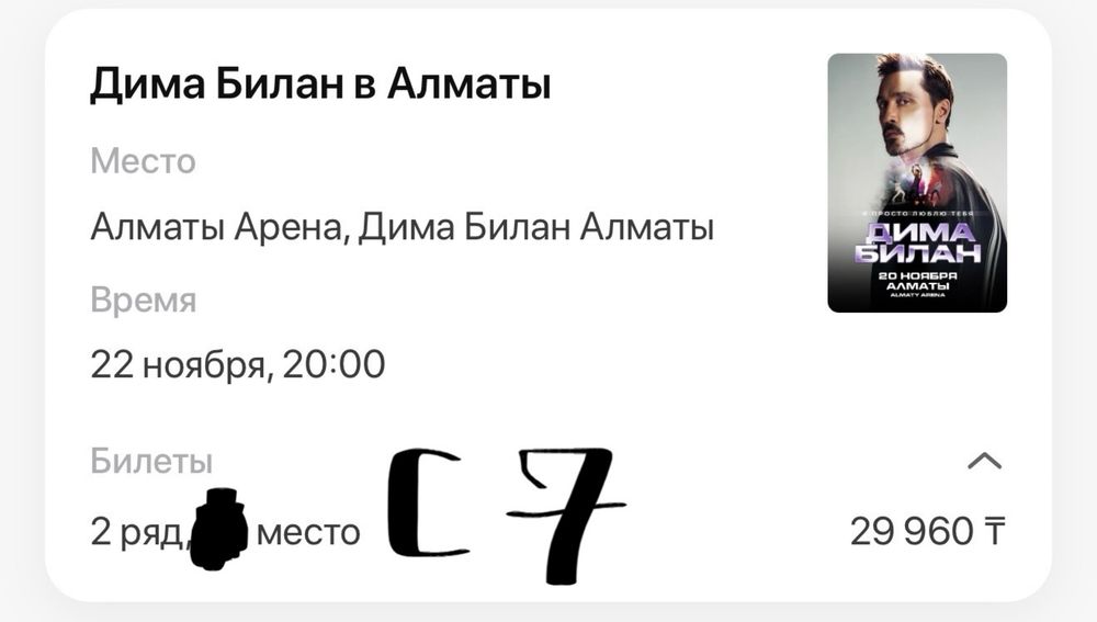 Билет на Диму Билана