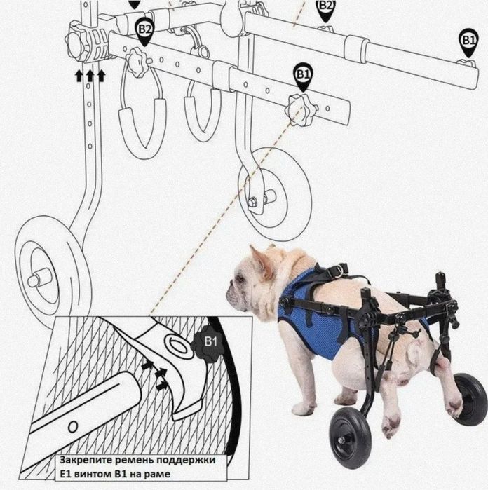 Инвалидная коляска для собак разных размеров, для мелких и кр