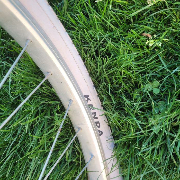 Bicicleta pegasus strada