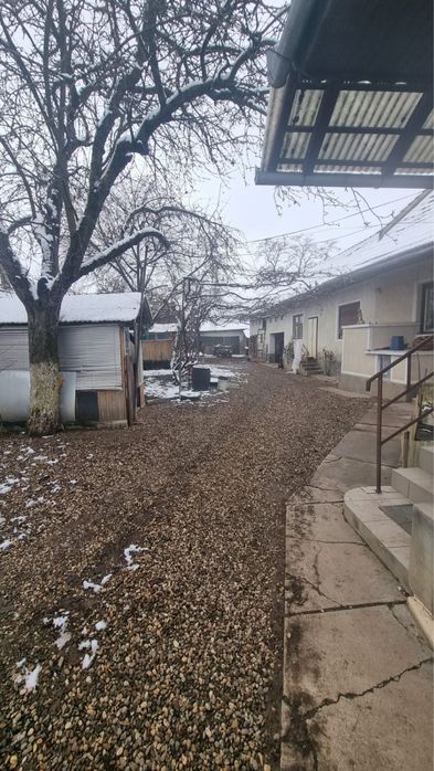 Vand casa in judetul Covasna