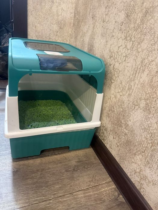 Отдам кота в добрые руки