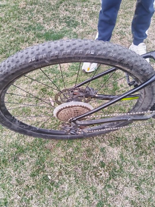 Specialized electrca