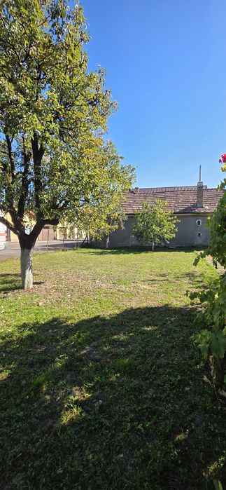 Casă 3 camere, 100 mp, 700 mp teren, Reghin-Mihai Viteazu
