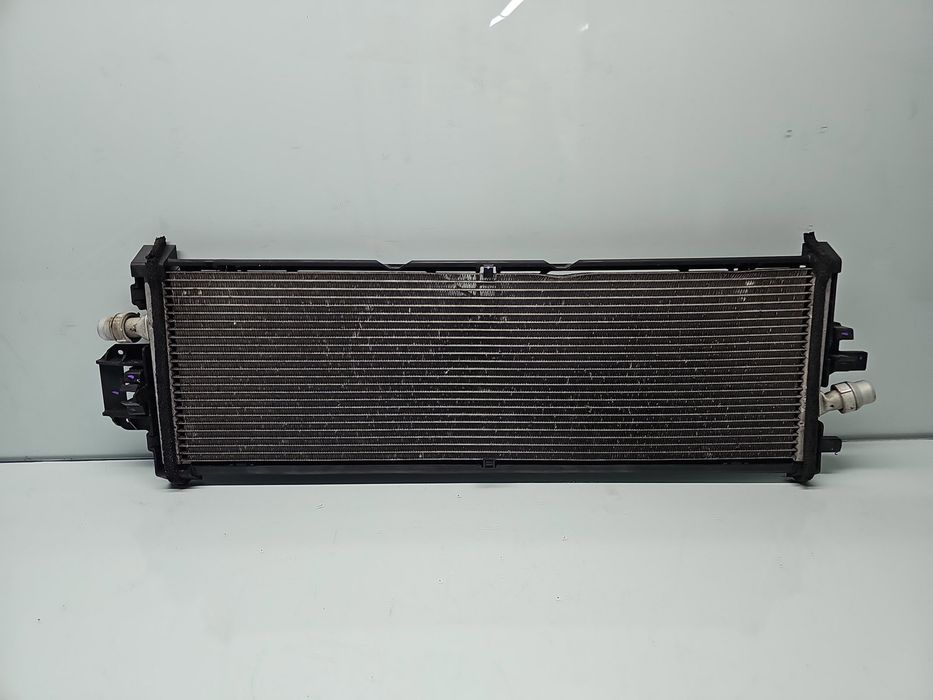 Radiator apa TESLA Model 3 [Fabr 2020-2025] 1077082-00-C Single Motor