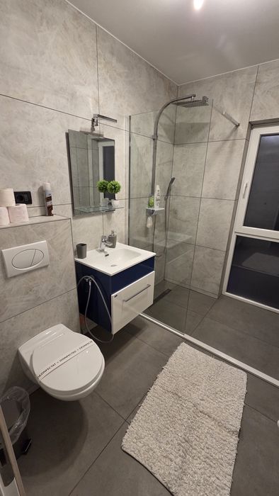 Vila Noua cu piscina de inchiriat in Arad com Fantanele