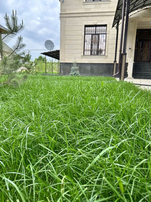 Автопалив Газон Установка