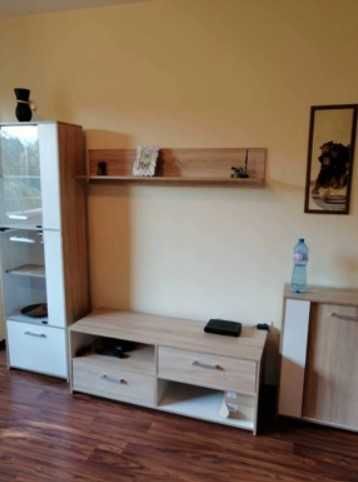 Тристаен апартамент под наем Слатина