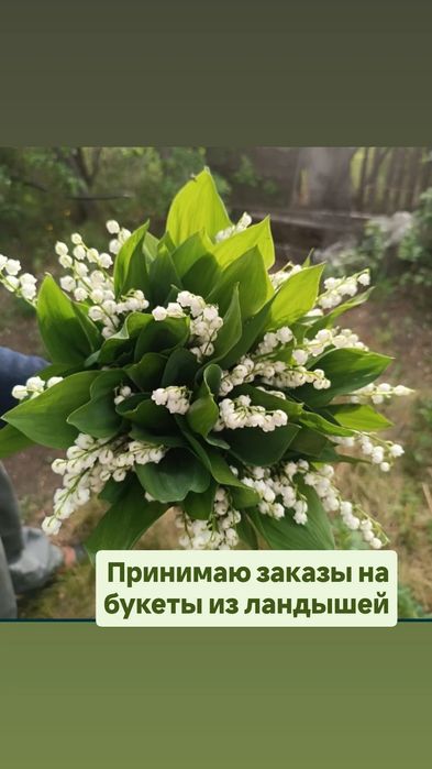 Цветы, букты ландыши