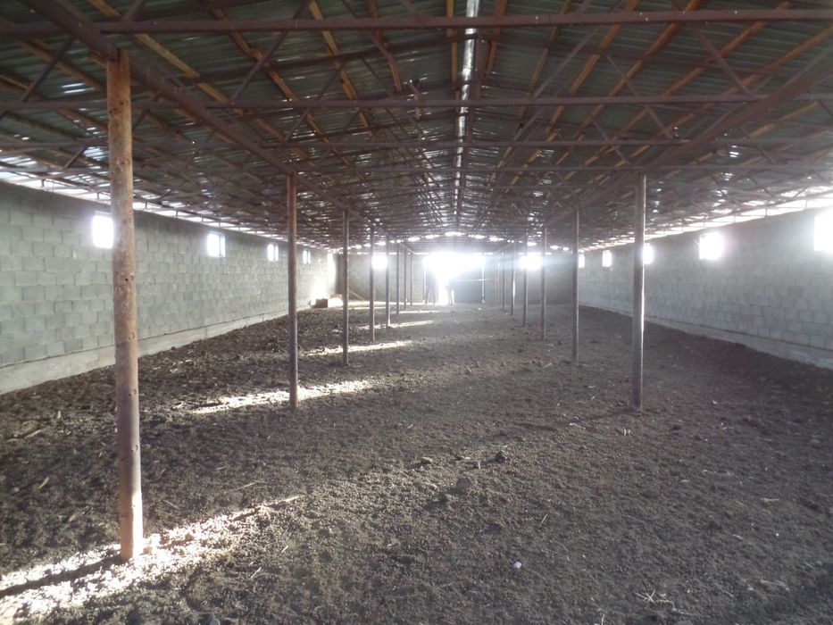 Fermer xojaligi satiladi