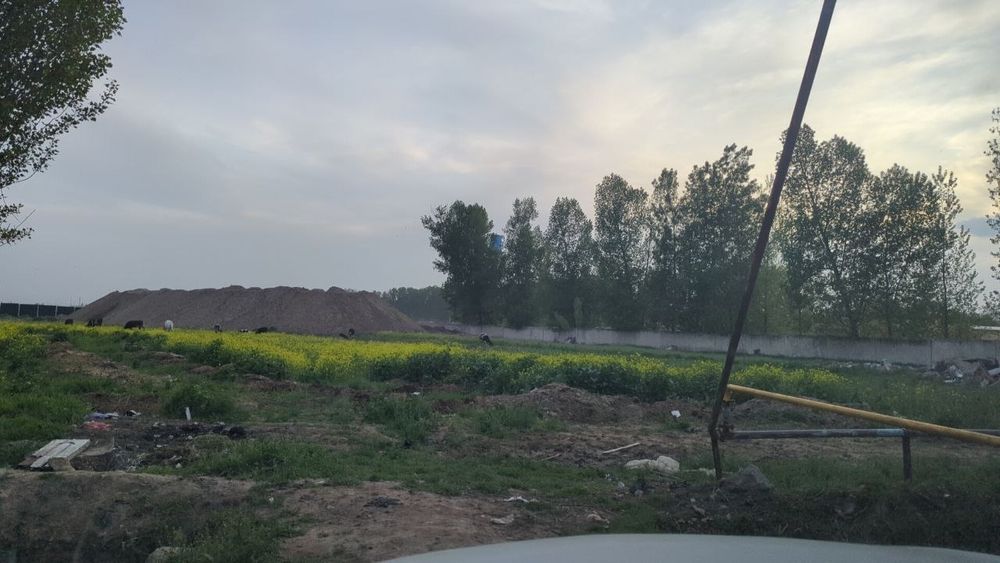 Янги Тошкент Срочно продаю свой участок