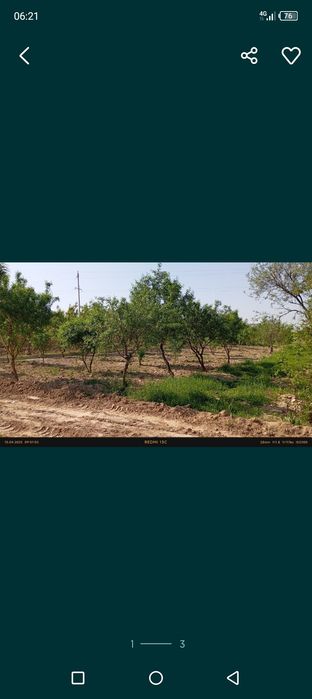 Кумкургон тумани Корсокли МФДан