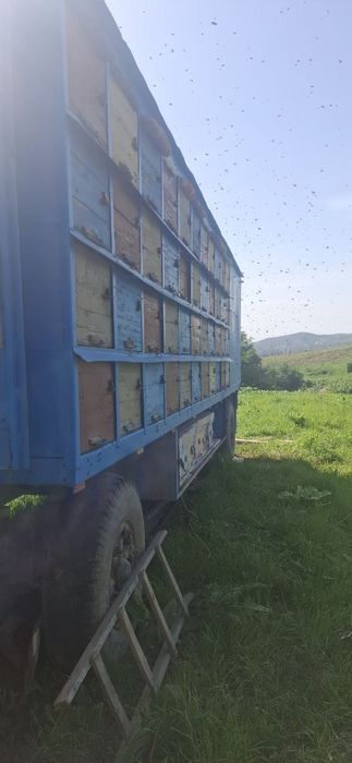 Прицеп для перевозки Пчел(асалари)