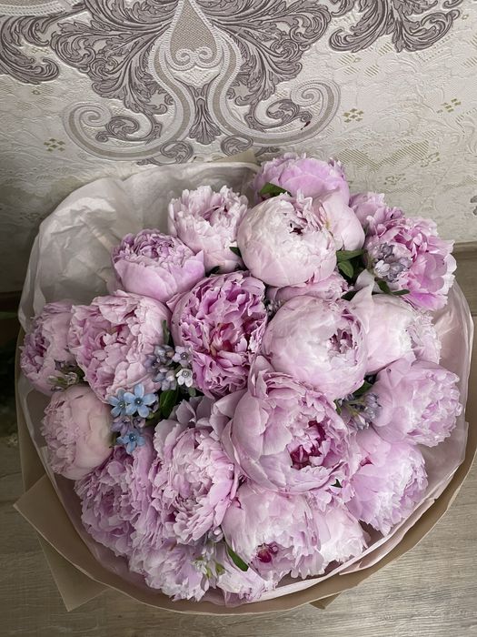 Цветы пионы 25 шт