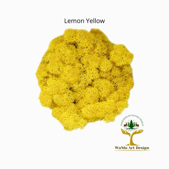 Тотална разпродажба Скандинавски мъх - първо качество