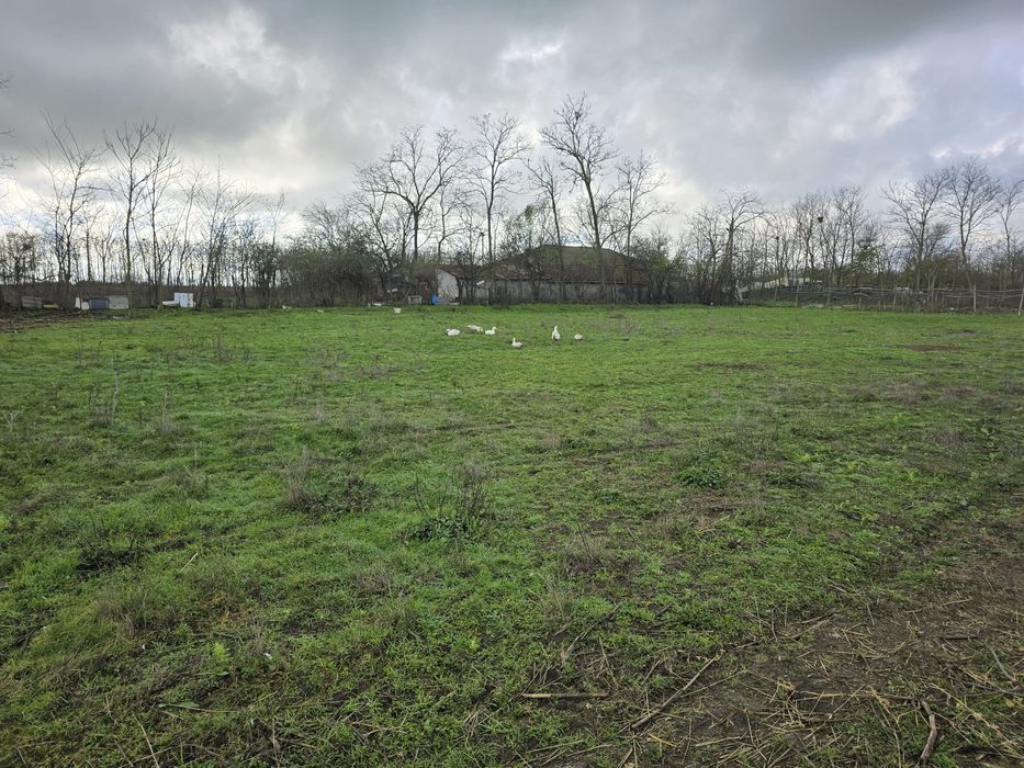 Teren  intravilan  Baraganu  Constanta