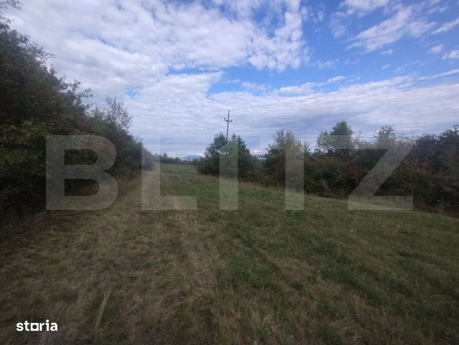 Teren extravilan in suprafata de 35 de ari, zona Beclenut, ideal caban