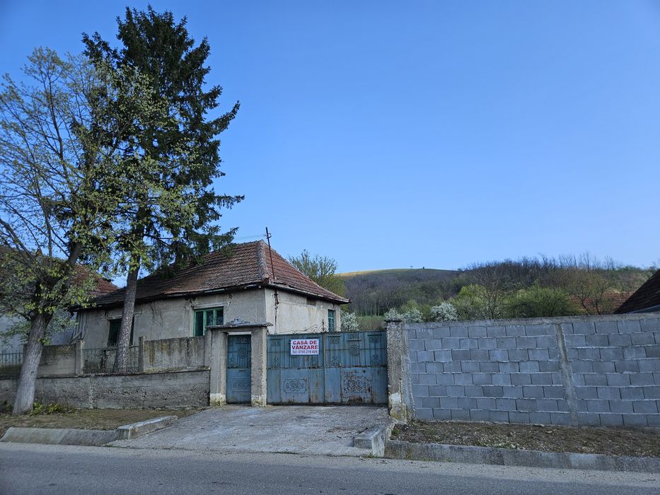 Casa cu teren de vanzare