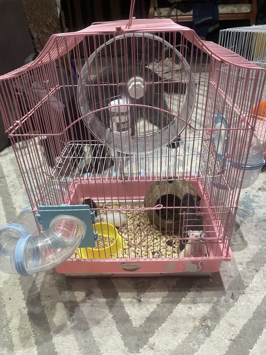 Клетки для грызунов