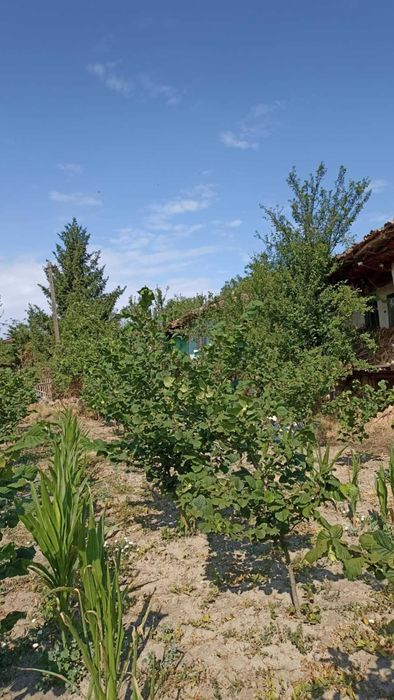 Продава се Къща в с. Мали извор, Област Добрич - 40 кв.м за 319 €/кв.м - Снимка #4