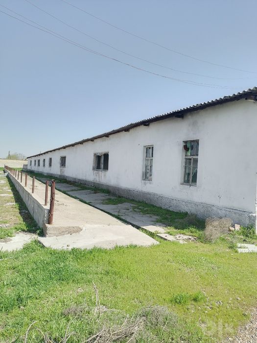 Ферма на продажу
