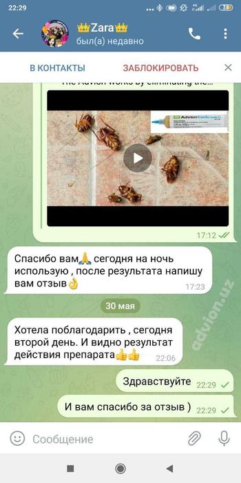 Оригинальный Advion Cockroach - средство от тараканов | Tarakan dori.