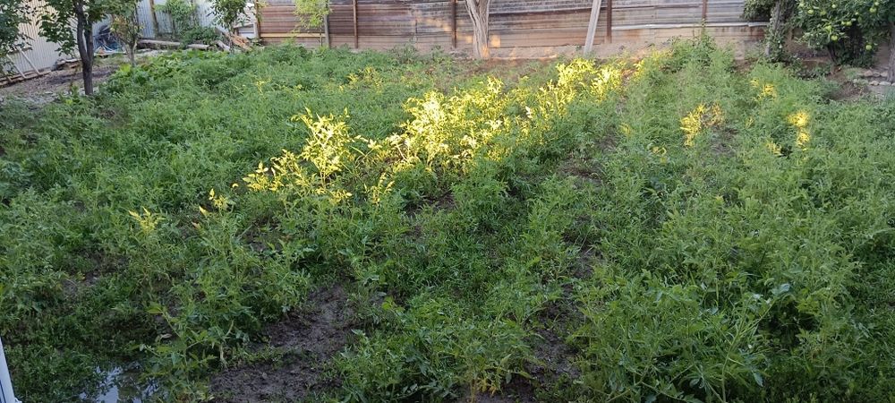 Продается дом 4 комнатный.Раен Сулиманова.