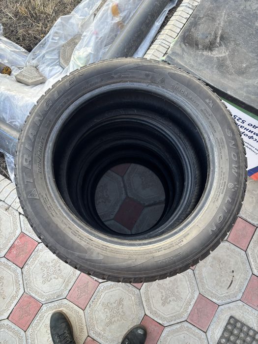 Зимние шины R17 225/55