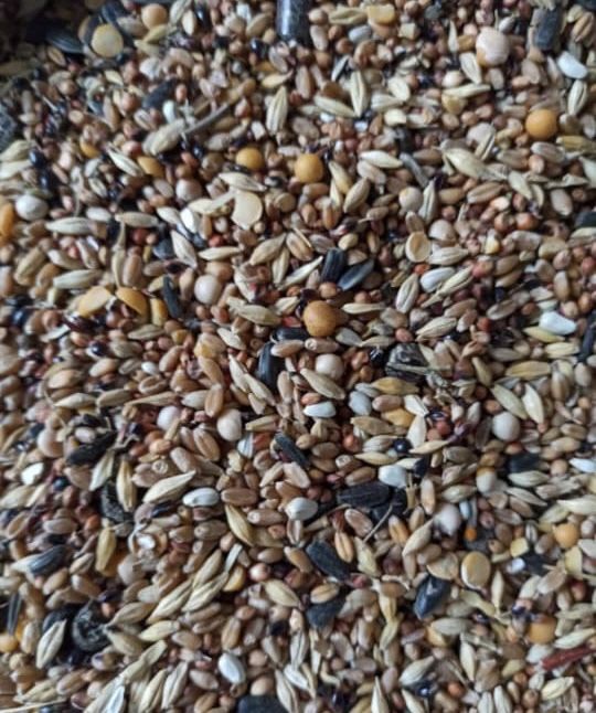 Корма для животных