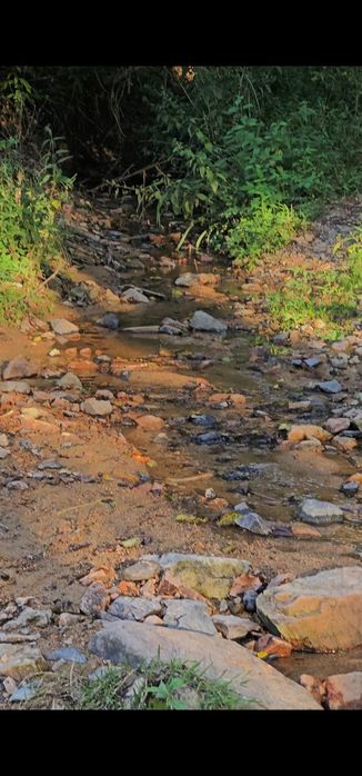 Casă cu teren. Săvârșin, Arad