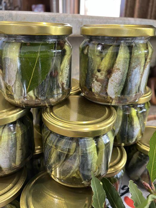 Продавам  черноморски Паламуд 10€ Сафрид.