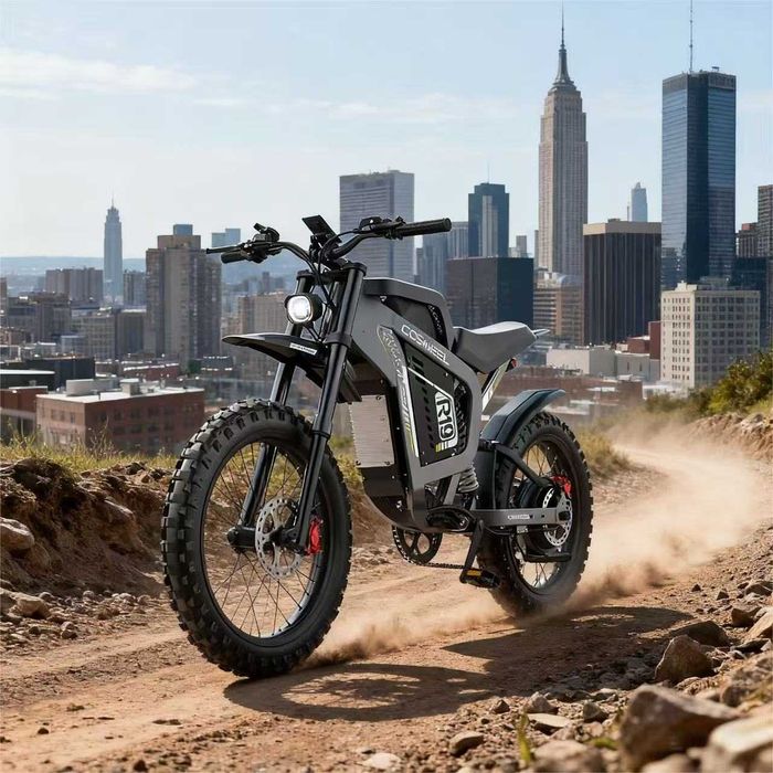 Електрическо колело Cosheel R19