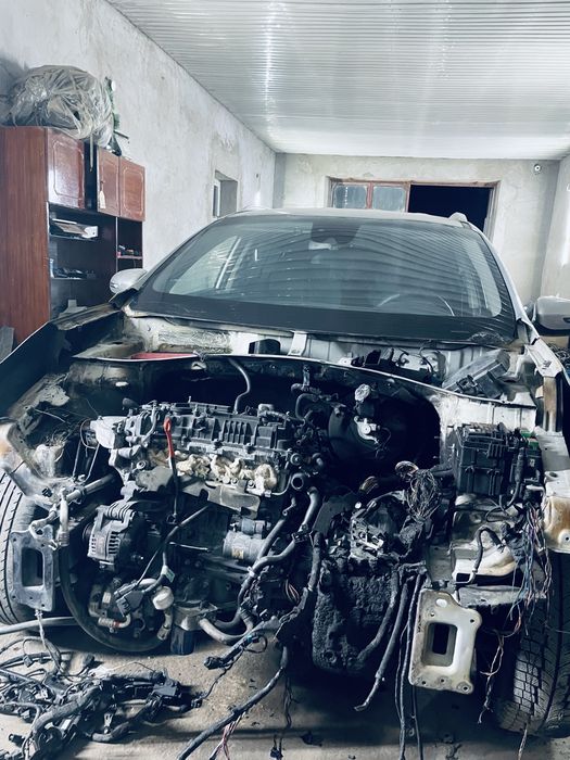 Полный шумка,новый