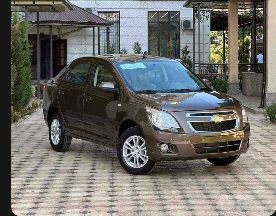 Cobalt zevus ragi 2023 dekabir